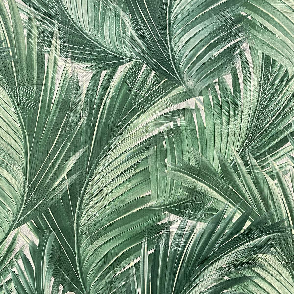 Haoya Эстетичный (Estetico) HK66051