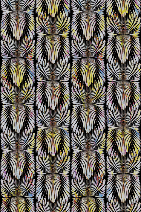 Emiliana Parati Roberto Cavalli №8 19121