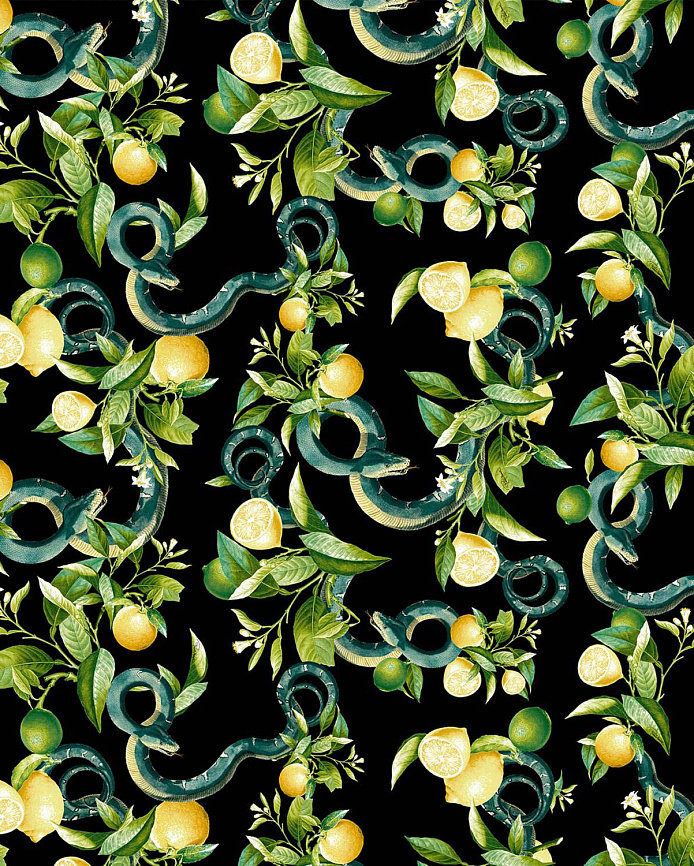 Emiliana Parati Roberto Cavalli №9 21104