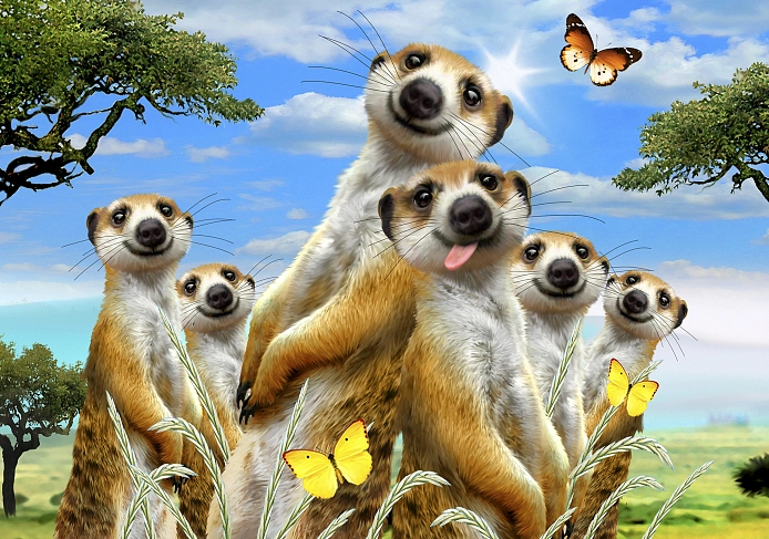 Partner Селфи-Соло (Selfi-Solo) 12868V8